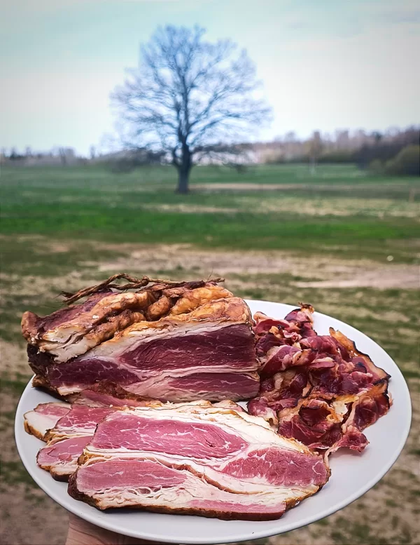 Bacon